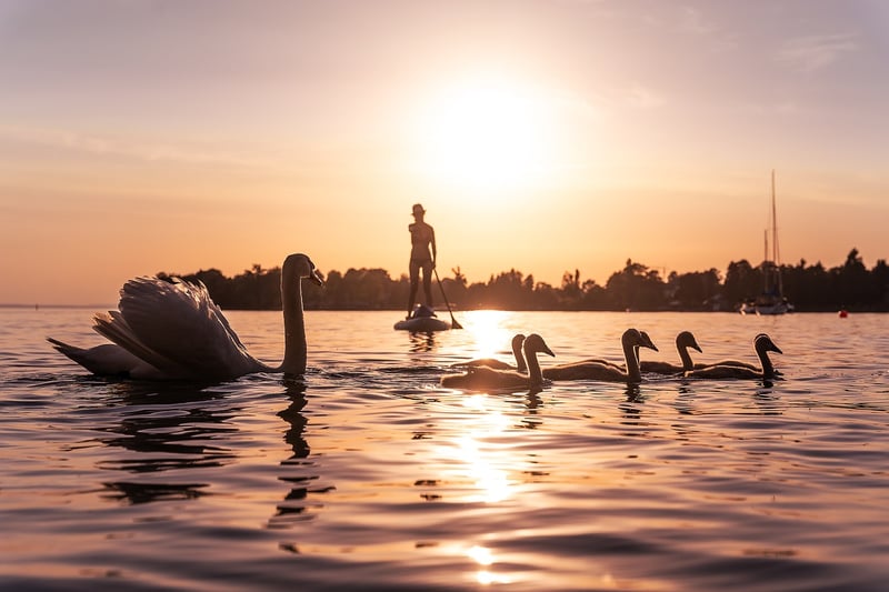 Serene Lake